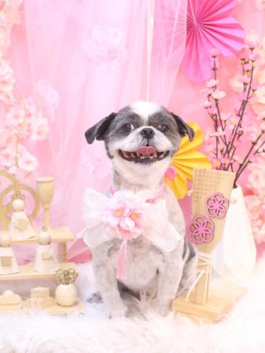 20250326大吉くん